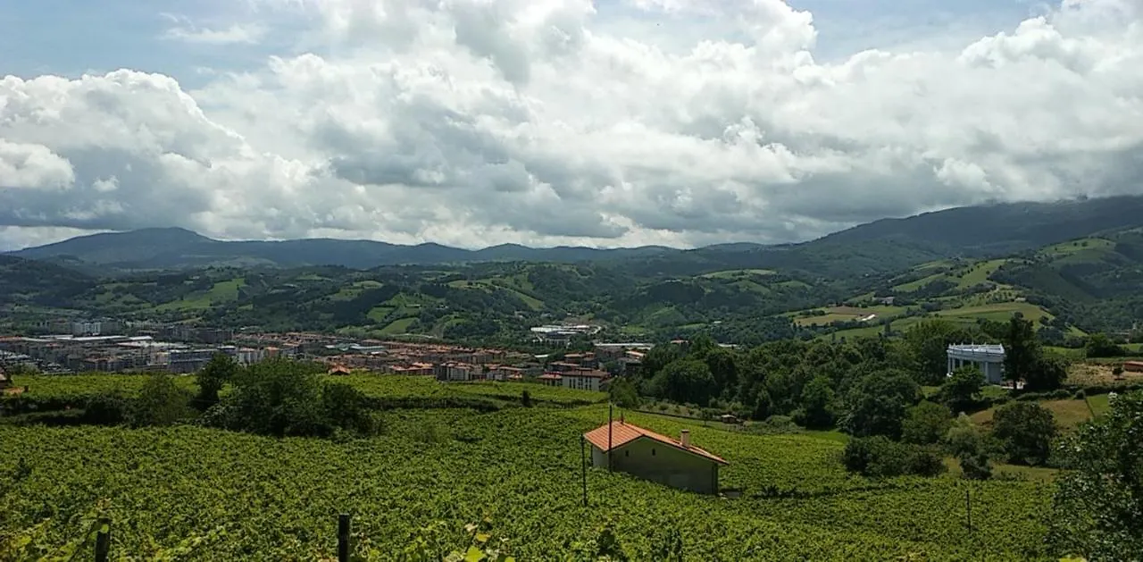 Oferta Especial Ultima Hora - Sarakatua15 - Vistas Espectaculares - Familias Y Parejas - 2 Dormitorios Independientes - Amplio Salon Cocina Comedor - Tarjeta Parking Ota Gratis - Julio Y Agosto Estancia Minima 7 Noches De Domingo A Domingo - Zarautz